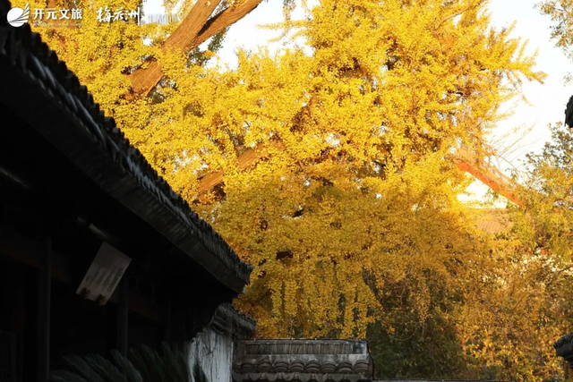 美翻了~这个秋假，来南湖吧！