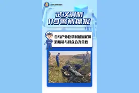 白马变“灰”马！马儿吃草深陷泥潭，消防员与群众合力营救图片