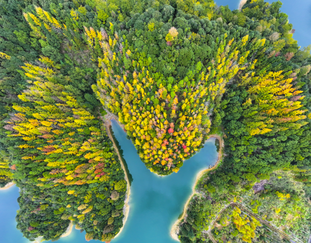 我在这里，等你→