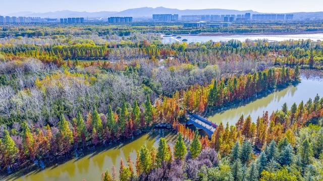 河南洛阳：伊河国家湿地公园冬景美如画