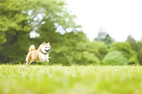 打了一圈疫苗，变成了松弛感的人图片