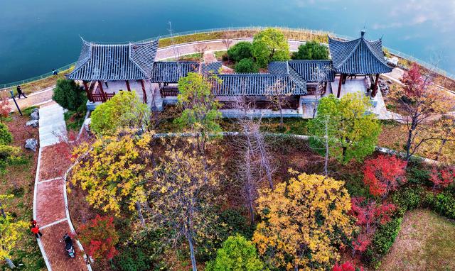 孟津区：城区公园秋色斑斓