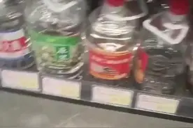 拍客｜老鼠疑似偷喝白酒醉死于货架 超市：已处理，每周都有消杀图片
