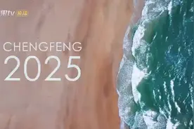 浪姐2025全阵容官宣，艺人名单中没有麦琳图片