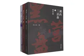 龙永春丨历史与文学深处的湘西答案——读岳立功《湘西三部曲》图片