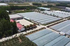 临沂市兰山区：​党建引领乡村振兴 共富联盟带动双增收图片