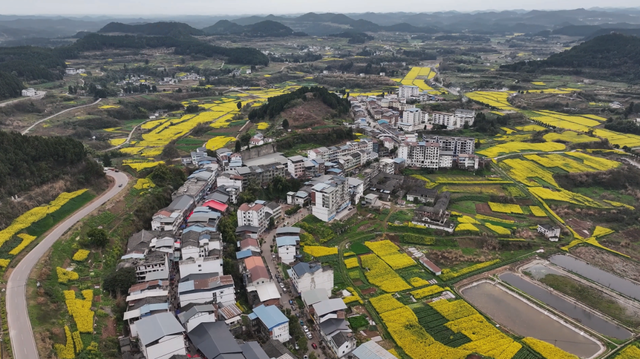 遇见西充，更遇见你！《慕・遇西充》公众号正式上线