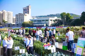 聚力打造世界级种业创新高地，第二十二届广东种业大会在穗举行图片
