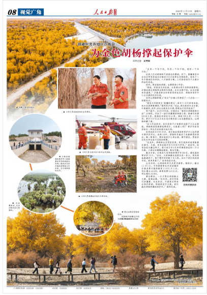 为金色胡杨撑起保护伞