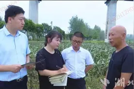 面对自然灾害损毁，农户不用担心亏本 湖北三大粮食作物“拴上”完全成本保险图片