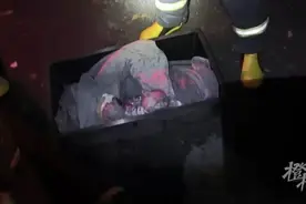 凌晨突发！一男一女扒在17楼窗外摇摇欲坠……近期多发，赶紧自查→图片