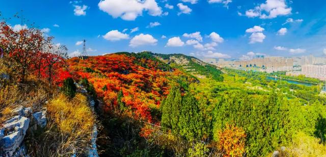 “泉”在济南享金秋——“一城山色·登山打卡”带你来赏红叶啦！
