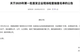 2025年IPO首批现场检查名单落地，力源海纳、强一股份被抽中图片