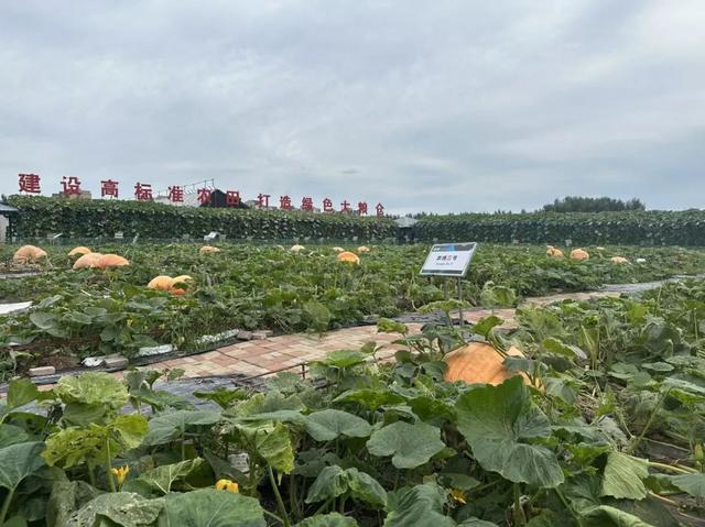展前速递|8月15日开幕！购票攻略 + 超值联票，手把手教你轻松入园