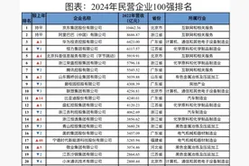 中国民营企业百强榜2024：大洗牌图片