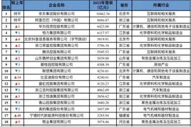 中国民营企业百强榜2024：大洗牌图片
