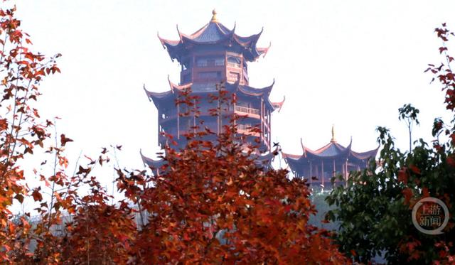 重庆黔江：红枫似火 彩林如画