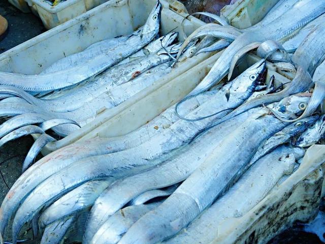 威海人气最旺的早市之一，连游客都说“必打卡”！