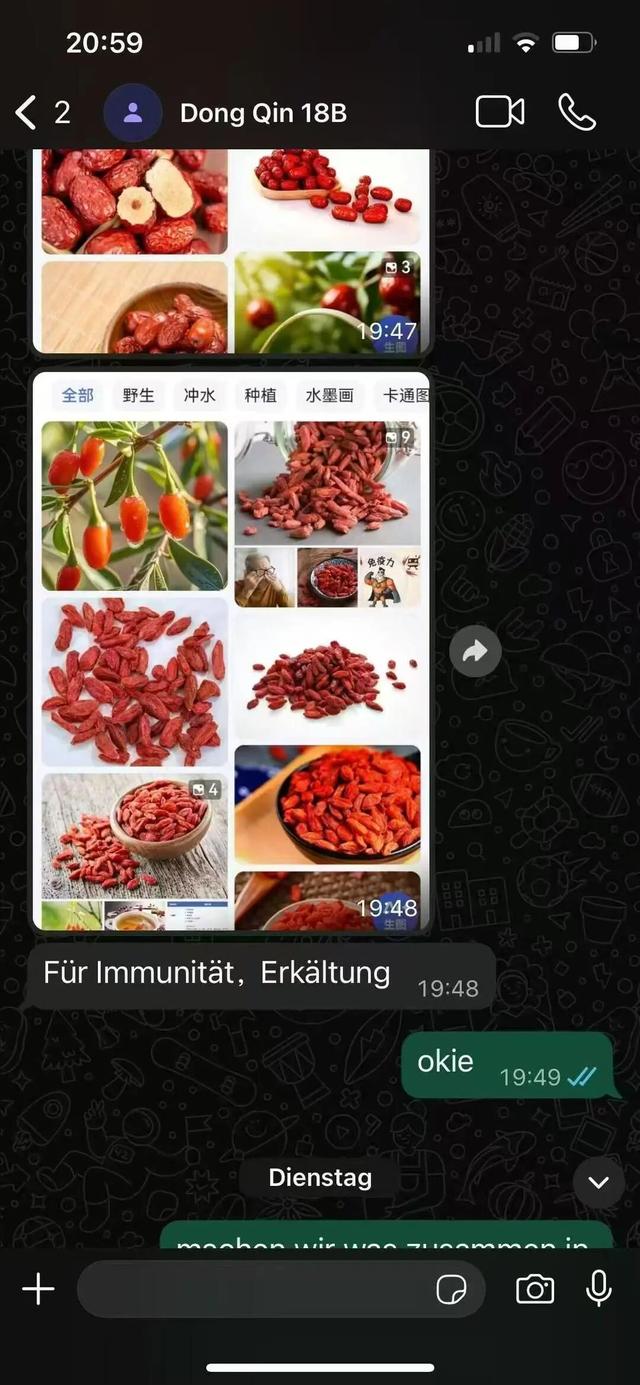 中国女子欧洲邮轮上神秘失踪超一周，母亲发声：女儿在德当护士，登船当天是她32岁生日；朋友梳理时间线，最后与外界联系内容披露