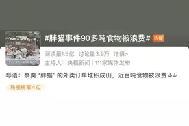 94.6吨外卖曾堆满长江大桥，办案民警遭网暴！央视还原“胖猫”事件图片