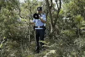 100余人！8小时！捡菌走失男孩找到了图片