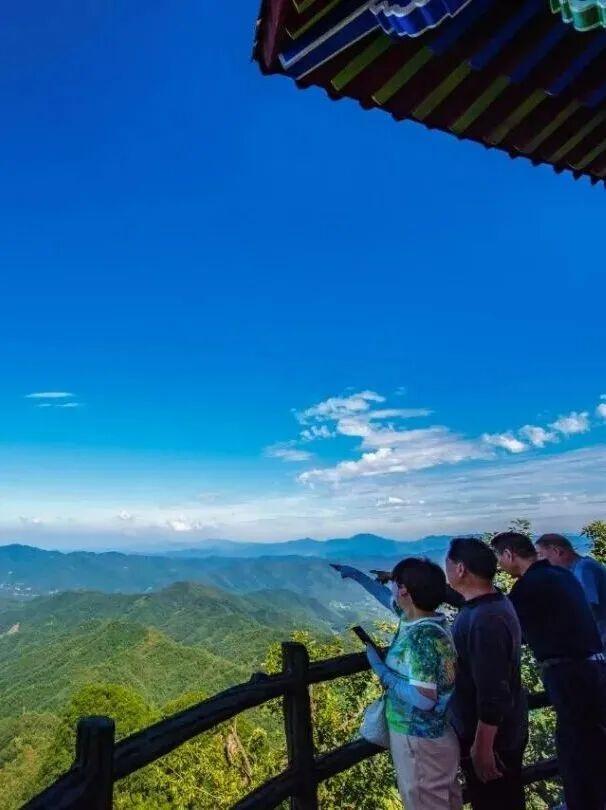 限时抢购！栾川竹海野生动物园双节早鸟票来袭！