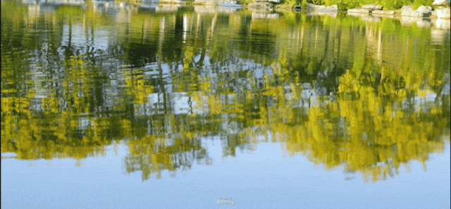 出发！去深圳最特别的「胖虎主题市集」，逛吃一天