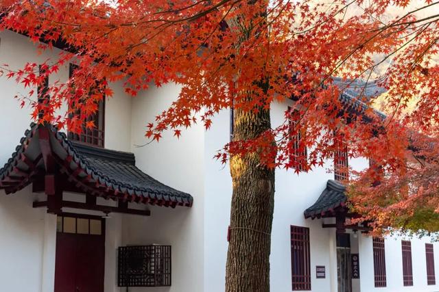 太仙了！美到巅峰！这个周末，又要人人人啦~