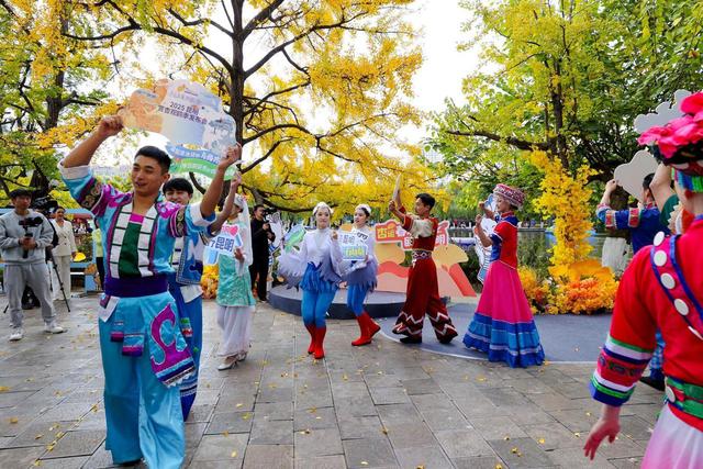 杏运春城，鸥遇昆明！昆明开启2025赏杏观鸥季