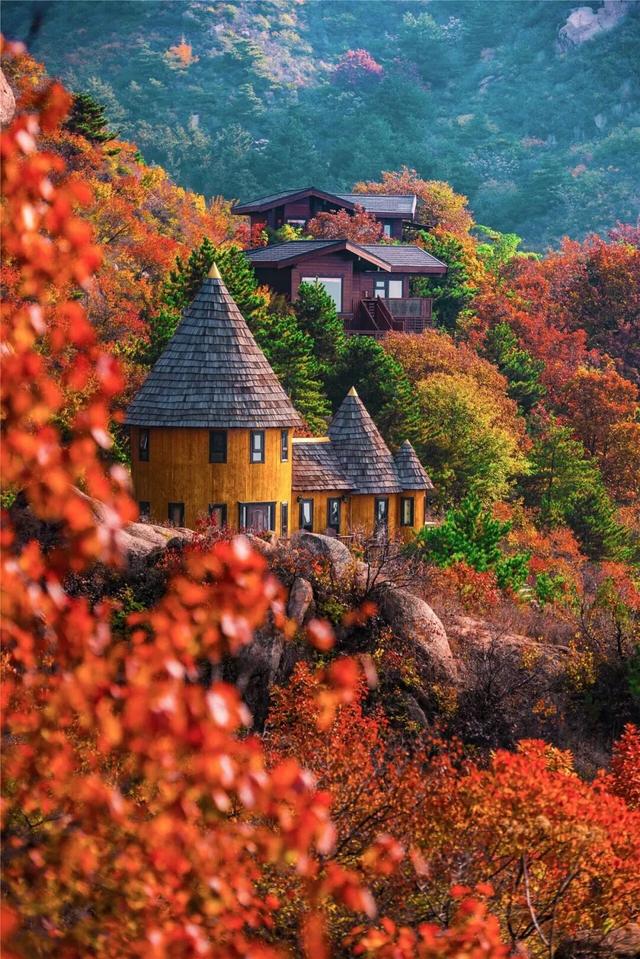 五彩斑斓！北京“漫山红叶”进最佳观赏期!