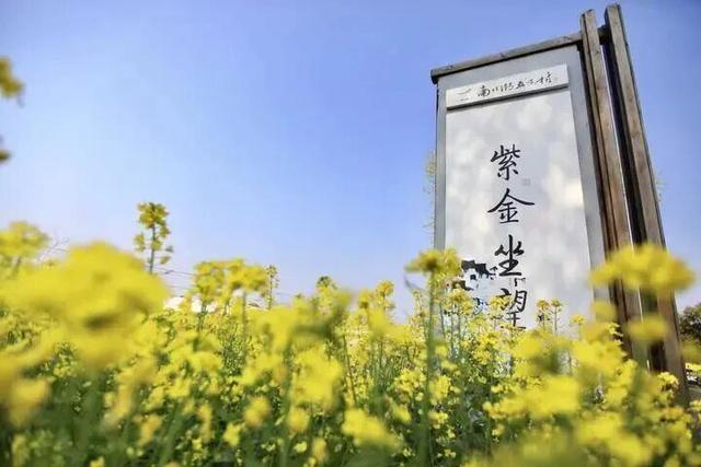 驾游浙江 ｜ 探访余华笔下的“盐系小城”！海盐这条公路，藏着长三角最治愈的山海湖光