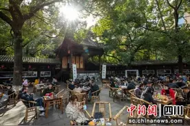 天府文化云讲堂：走进茶香四溢的“安逸成都”图片