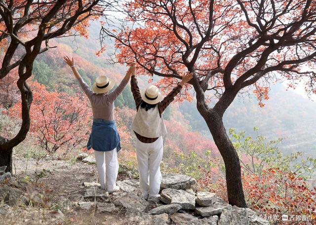 立冬时节，景色如画