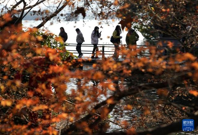 “三九”游西湖