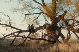 如何把散文拍成电视剧？在《我的阿勒泰》中感受文学的辽阔图片