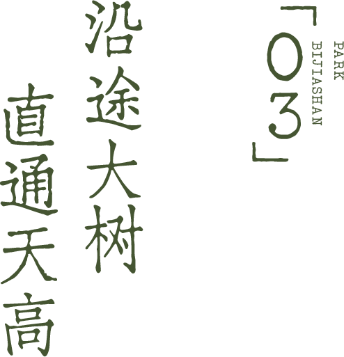 开在公园里的玻璃书房 · 深圳新安静空间