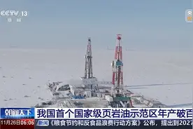 新纪录+1 我国首个国家级页岩油示范区年产破百万吨图片
