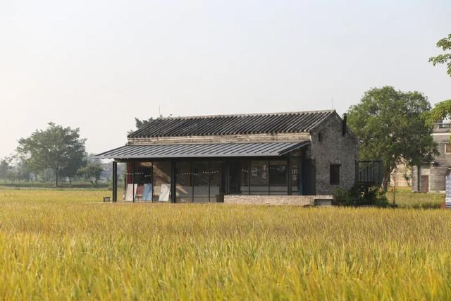 碉楼秋韵，揽胜塘口！快来开平这里把整个秋天“揽"入怀中