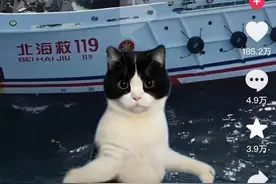 对话“00后整活”获千万流量的“中国救捞”：摸着石头过河图片