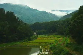 国宝朱鹮在这儿有个家图片