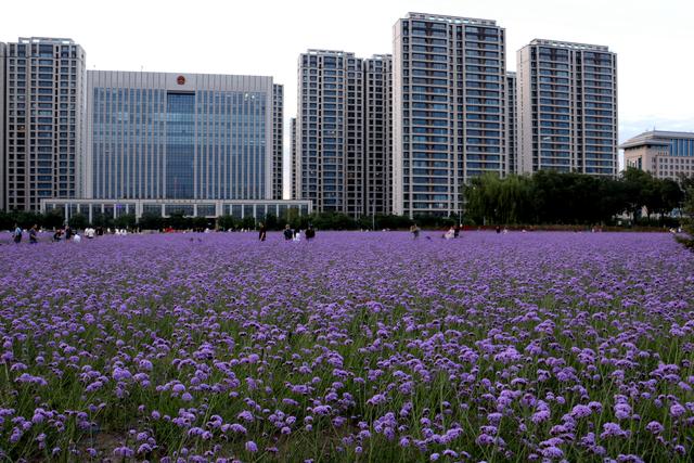 组图丨武威市政广场人如织景如画