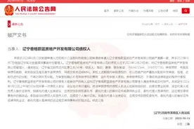 破产清算！浑南区人民法院受理辽宁香格蔚蓝房地产开发有限公司破产清算一案图片