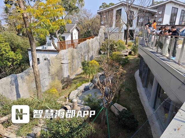 全城“萌动”！福州人的周末，被这5只“滚滚”承包了！