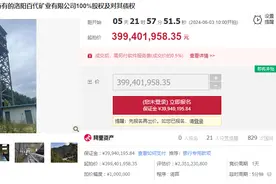 二折起拍！洛阳一矿业公司股权、采矿权等公开拍卖，底价4亿元图片