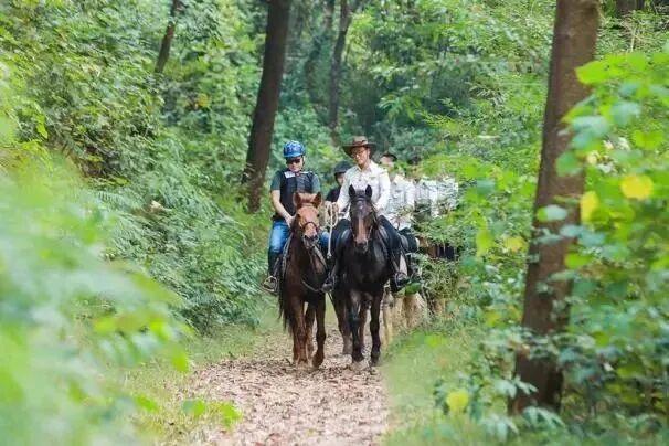 全运专属福利！花都多个景点门票，免费！