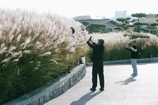 西安上新！高颜值秋景，正在加载！