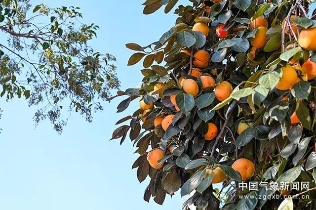 尽享好风光丨大美中国