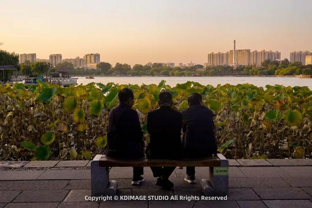 趵突泉涌玉龙，青石板映唐宋灯火，济南版“江南”在此