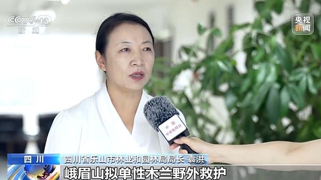 活力中国调研行丨遗产保护用上黑科技 在峨眉山解锁文旅新体验