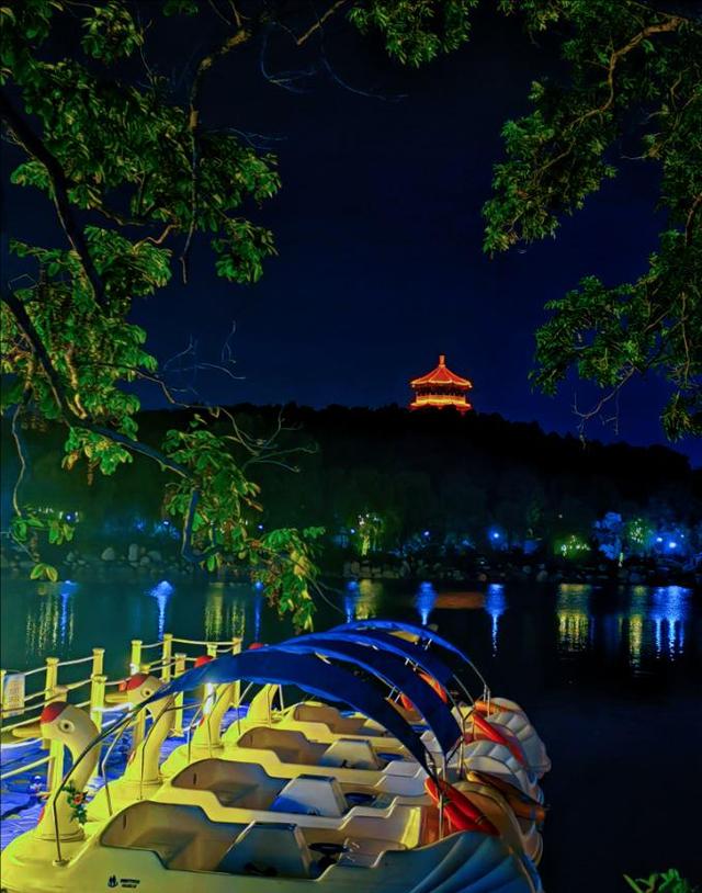 虎山公园夜游渐火 光影交织引客来